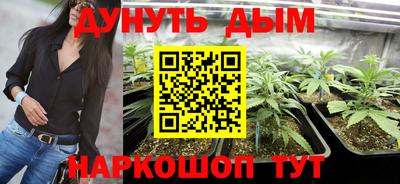 крисы Усть-Джегута