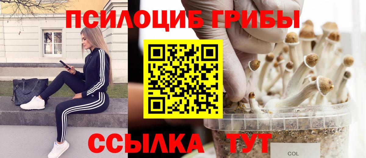 Псилоцибиновые грибы прущие грибы  Вход с VPN  Усинск  Псилоцибиновые грибы Cubensis 